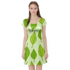 Autumn Background Boxes Green Leaf Short Sleeve Skater Dress by Wegoenart