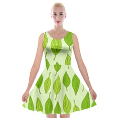 Autumn Background Boxes Green Leaf Velvet Skater Dress by Wegoenart