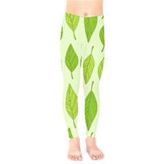 Autumn Background Boxes Green Leaf Kids  Legging by Wegoenart