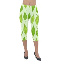 Autumn Background Boxes Green Leaf Lightweight Velour Capri Leggings  by Wegoenart