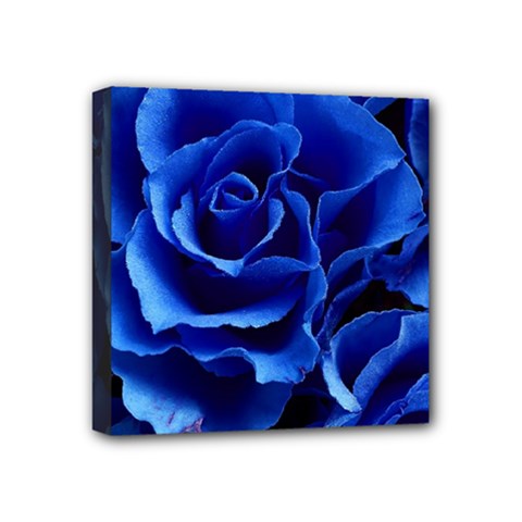 Blue Roses Flowers Plant Romance Mini Canvas 4  X 4  (stretched) by Wegoenart