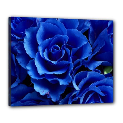 Blue Roses Flowers Plant Romance Canvas 20  X 16  (stretched) by Wegoenart