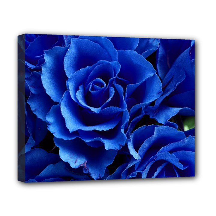 Blue Roses Flowers Plant Romance Deluxe Canvas 20  x 16  (Stretched)