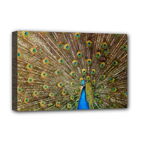 Peacock Plumage Bird Peafowl Deluxe Canvas 18  X 12  (stretched) by Wegoenart