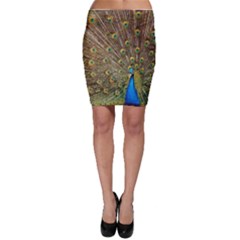 Peacock Plumage Bird Peafowl Bodycon Skirt by Wegoenart