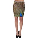 Peacock Plumage Bird Peafowl Bodycon Skirt View1