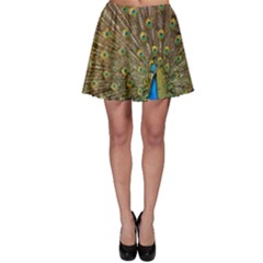 Peacock Plumage Bird Peafowl Skater Skirt by Wegoenart