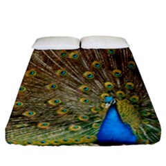 Peacock Plumage Bird Peafowl Fitted Sheet (california King Size) by Wegoenart