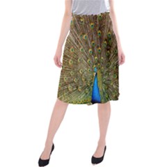 Peacock Plumage Bird Peafowl Midi Beach Skirt by Wegoenart