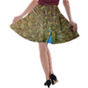 Peacock Plumage Bird Peafowl A-line Skater Skirt View2