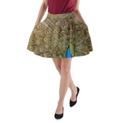 Peacock Plumage Bird Peafowl A-line Pocket Skirt by Wegoenart