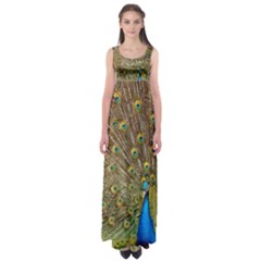 Peacock Plumage Bird Peafowl Empire Waist Maxi Dress by Wegoenart