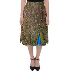 Peacock Plumage Bird Peafowl Classic Midi Skirt by Wegoenart