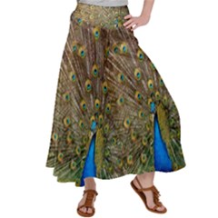 Peacock Plumage Bird Peafowl Satin Palazzo Pants