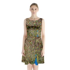 Peacock Plumage Bird Peafowl Sleeveless Waist Tie Chiffon Dress by Wegoenart