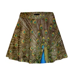 Peacock Plumage Bird Peafowl Mini Flare Skirt by Wegoenart