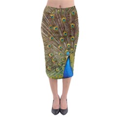 Peacock Plumage Bird Peafowl Midi Pencil Skirt by Wegoenart