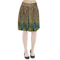 Peacock Plumage Bird Peafowl Pleated Skirt by Wegoenart