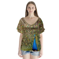 Peacock Plumage Bird Peafowl V-neck Flutter Sleeve Top by Wegoenart