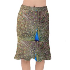 Peacock Plumage Bird Peafowl Mermaid Skirt by Wegoenart