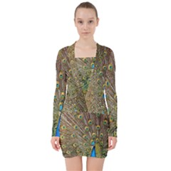 Peacock Plumage Bird Peafowl V-neck Bodycon Long Sleeve Dress by Wegoenart