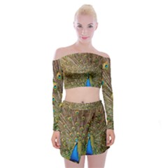 Peacock Plumage Bird Peafowl Off Shoulder Top With Mini Skirt Set by Wegoenart