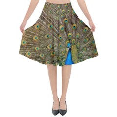 Peacock Plumage Bird Peafowl Flared Midi Skirt by Wegoenart