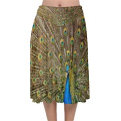 Peacock Plumage Bird Peafowl Velvet Flared Midi Skirt by Wegoenart