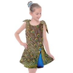 Peacock Plumage Bird Peafowl Kids  Tie Up Tunic Dress