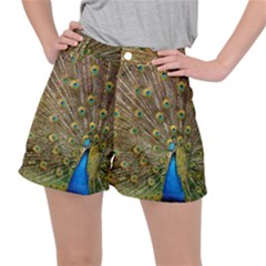 Peacock Plumage Bird Peafowl Stretch Ripstop Shorts