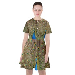 Peacock Plumage Bird Peafowl Sailor Dress