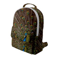 Peacock Plumage Bird Peafowl Flap Pocket Backpack (large)