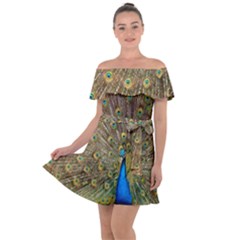 Peacock Plumage Bird Peafowl Off Shoulder Velour Dress