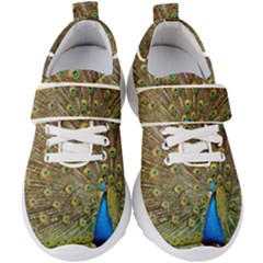 Peacock Plumage Bird Peafowl Kids  Velcro Strap Shoes