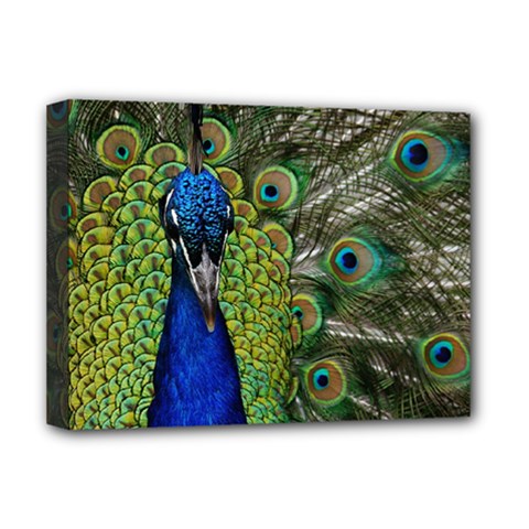 Peacock Close Up Plumage Bird Head Deluxe Canvas 16  X 12  (stretched)  by Wegoenart