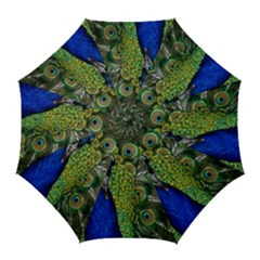 Peacock Close Up Plumage Bird Head Golf Umbrellas by Wegoenart