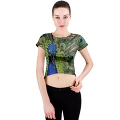 Peacock Close Up Plumage Bird Head Crew Neck Crop Top by Wegoenart