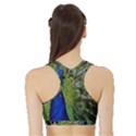 Peacock Close Up Plumage Bird Head Sports Bra with Border View2