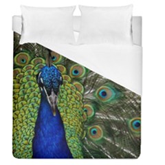 Peacock Close Up Plumage Bird Head Duvet Cover (queen Size) by Wegoenart