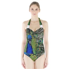 Peacock Close Up Plumage Bird Head Halter Swimsuit by Wegoenart