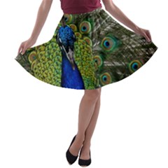 Peacock Close Up Plumage Bird Head A-line Skater Skirt by Wegoenart