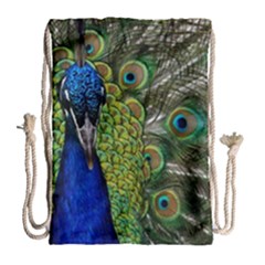 Peacock Close Up Plumage Bird Head Drawstring Bag (large) by Wegoenart