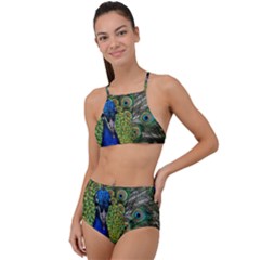 Peacock Close Up Plumage Bird Head High Waist Tankini Set