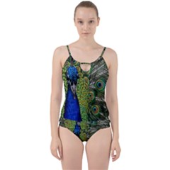 Peacock Close Up Plumage Bird Head Cut Out Top Tankini Set by Wegoenart