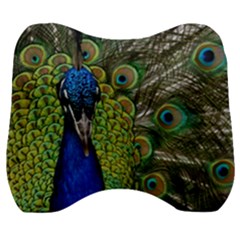 Peacock Close Up Plumage Bird Head Velour Head Support Cushion by Wegoenart