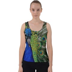 Peacock Close Up Plumage Bird Head Velvet Tank Top by Wegoenart