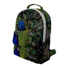 Peacock Close Up Plumage Bird Head Flap Pocket Backpack (large)