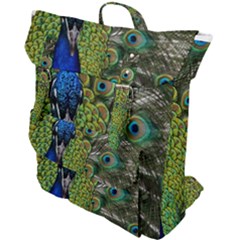 Peacock Close Up Plumage Bird Head Buckle Up Backpack