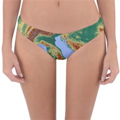 Italy Alpine Alpine Region Map Reversible Hipster Bikini Bottoms by Wegoenart