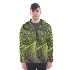 Green Leaf Giant Rhubarb Mammoth Sheet Hooded Windbreaker (men) by Wegoenart